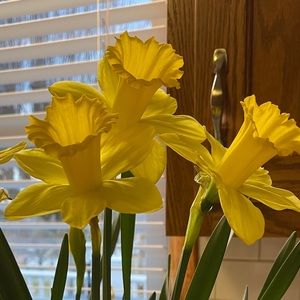 Meet your Posher, Marcia